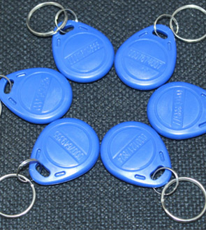 ABS Keychain